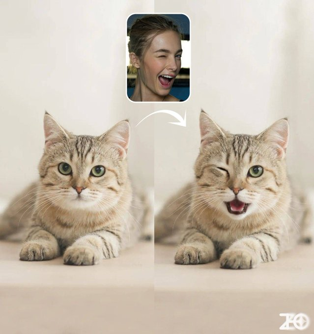 把图二猫咪变成图一人物那样的表情